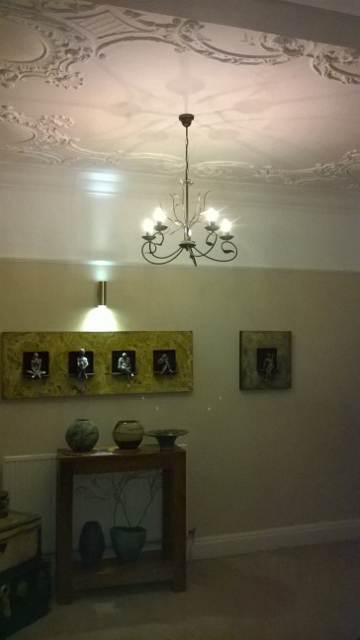 Picuture rail and lights 360x640